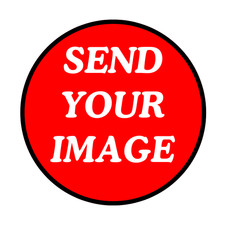 Custom Printed Stickers Logo Vinyl Decals Waterproof Die Cut Glossy Matte Holo Baby Door Ornament price