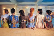 Pink Floyd Back Catalog 36-by-24 Inches Poster price