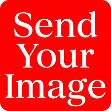 Custom Vinyl Stickers Waterproof Personalized Logo Design Stickers Sizes 2"–20" Toilet Sticker price