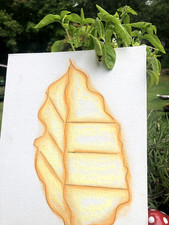 Oak Leaf      Pastel           PBG Pastel Paint price