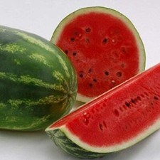 All Sweet Watermelon Seeds | Heirloom / Non-GMO | Free Shipping | 1045 Vegetables price