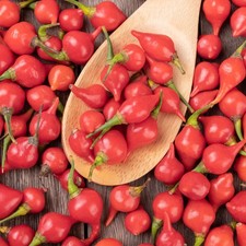 Red Biquinho Pepper Seeds | Brazilian Heirloom | Little Beak | Free Ship | 1283 Vegetables price