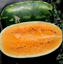Tendersweet Orange Watermelon Seeds, Very Sweet, NON-GMO, Heirloom, FREE SHIP Fruits price