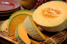 Iroquois Melon Seeds, NON-GMO, American Cantaloupe, Muskmelon, FREE SHIPPING Fruits price