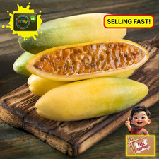 Fresh Premium Banana Passion Fruit Seeds | Heirloom | Non-GMO | Fruit Seeds Fruits price