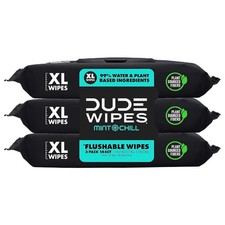 DUDE Wipes Flushable - 3 Pack, 144 Count - 48 (Pack of 3), White Wet Wipes price