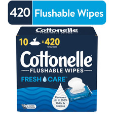 Fresh Care Flushable Wet Wipes, 10 Flip-Top Packs Wet Wipes price