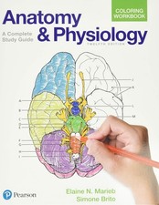 Anatomy and Physiology Coloring Workbook : A Complete Study Guide by Elaine... Psychology Study Guides price