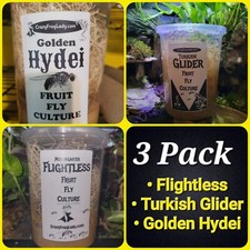 Fruit Fly Culture 3Pack Variety Live Flightless, Turkish Gliders, & Golden Hydei Turkish price