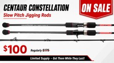 Centaur Constellation Slow Jigging Conventional Rods Fishing Rod (Jig) price