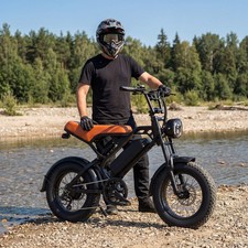 16'' Fat Tire Electric Bike 1500W Peak 48V E-Bike 28MPH Mountain E Bicycle Adult Electric Motorcycle price