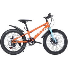 Kids Mountain Bike 20 inch Wheel Dual Disc Brake Kids Bicycle Fat Tire Orange Kids' Bicycles price