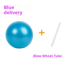 Pilates Yoga Ball Mai Pipe Ball PVC Explosion-Proof Matte 25Cm Mini Ball Gymnast Pilates Ball price