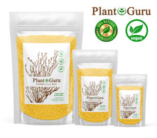 Candelilla Wax Pellets 100% Pure Natual Vegan Wax - Beeswax Substitute Wax price