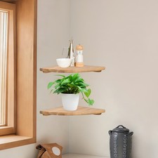 Floating Corner Shelves, Wall Mount Speaker Rack Display Shelf for Small Plant Wall Shelf price