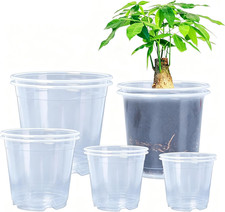 6.7/6/5/4/3.5 Inch Clear Nursery Pots Variety Pack with Drainage Holes Transpare Pots price