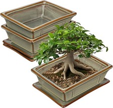 Ceramic Bonsai Pots with Drainage Tray, Set of 2 Rectangular Glazed Bonsai Plant Pots price