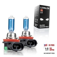 12V 55W Halogen Headlight Bulb, 12V 55W, High Beam, Low Beam and H11 Headlight Bulb price