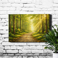 Forest Scenery Nature Landscape Canvas Painting Wall Art Poster Canvas Painting price
