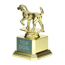 Original Spec Top Dog Trophy: Gold Dog Show Award, Indoor Decorative Object Decorative Object price