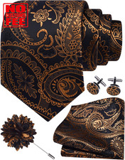 Paisley Tie Set for Men 3.15" Necktie Lapel Pin Hankerchief Cufflinks Set for Me Tie Set price