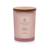 Chesapeake Bay Scented Candle, Joy + Laughter (Cranberry Dahlia) Decorative Candle price