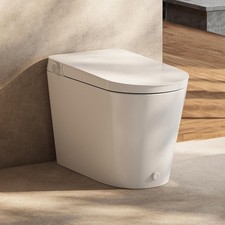 HOROW Non-Electric Bidet Toilet Tankless One-Piece Elongated Toilet Auto Flush Toilet price