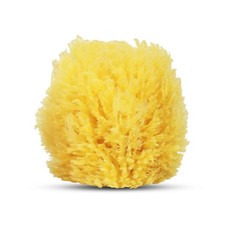 Baby Buddy Natural Grass Sea Sponge 4in Soft Baby Bath Sponge Baby Bath Sponge price