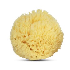 Baby Buddy Natural Baby Bath Sponge Soft Sea Wool for Baby Skin Biodegradable Baby Bath Sponge price
