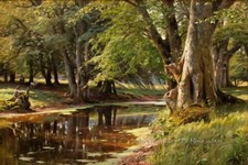 Forest Creek Landscape Oil painting Wall Art Giclee Printed on canvas P750 Yağlı Boya Tablo price