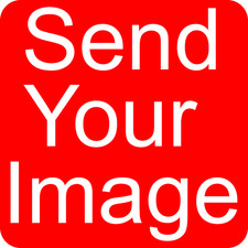 Custom Color Vinyl Decal Sticker Waterproof Different sizes Available Fridge Sticker price