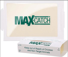 Catchmaster 72Max Glue Board Mouse Insects Trap Free shipping Board price