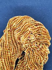 TOBACCO BROWN OLIVE VARIEGATED RAYON CHENILLE Fly Jig Tying 5 Yd Pack U Pick Sz Chenille price