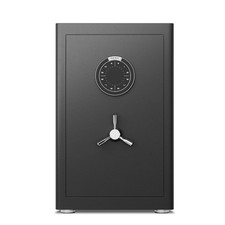 2.5 Cub Home Safe，Heavy Duty Safe Box Safe with Digital Keypad and Shelf Safe price