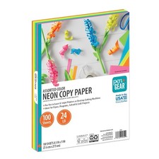 Neon Assorted Color Copy Printer Paper 8.5 x 11 Inch 24lb 100 Sheets Colored Copy Paper price