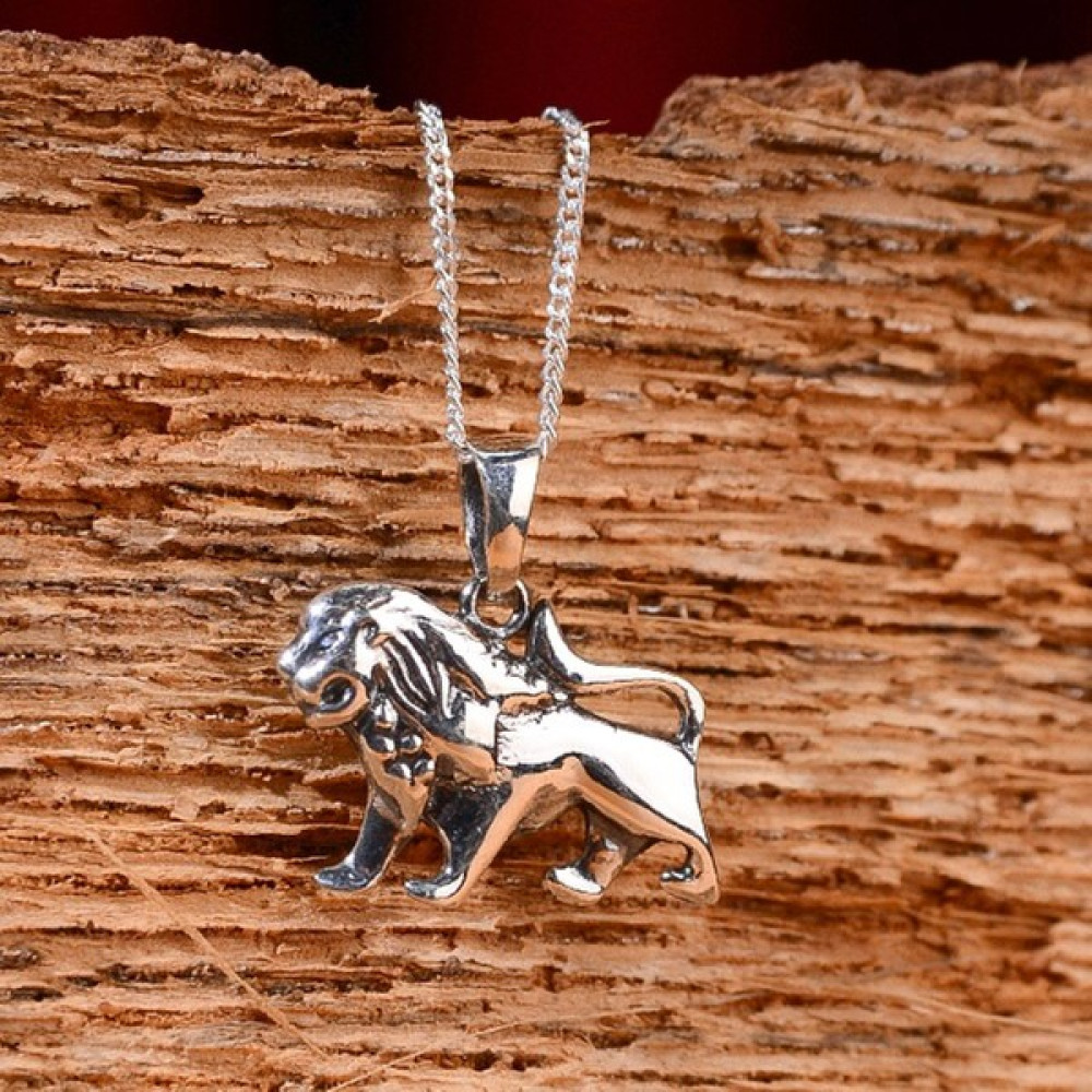 Ebrar Silver Gümüş Aslan Kolye 925 Ayar Gümüş Aslan Figürlü Unisex Kolye - 70 cm Gümüş Kolye Fiyatı