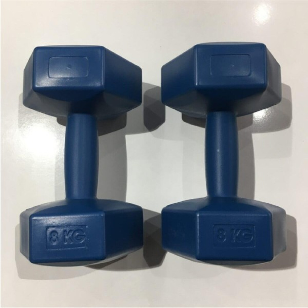 EC Shop Azim Spor Malzemeleri Sefer Ayakkabı 2x8 kg Plastik Dambıl 8 kg Dambıllar & El / Ayak Ağırlıkları Fiyatı