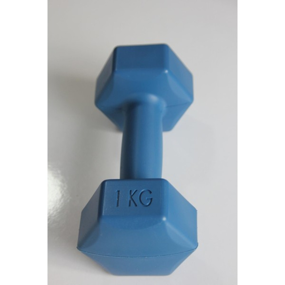 EC Shop Maesgo ; Plastik Dambıl Ağırlık Seti 1 kg x 2 Adet Köşeli Mavi Plastik Dambıl Ağırlık Seti Dambıllar & El / Ayak Ağırlıkları Fiyatı