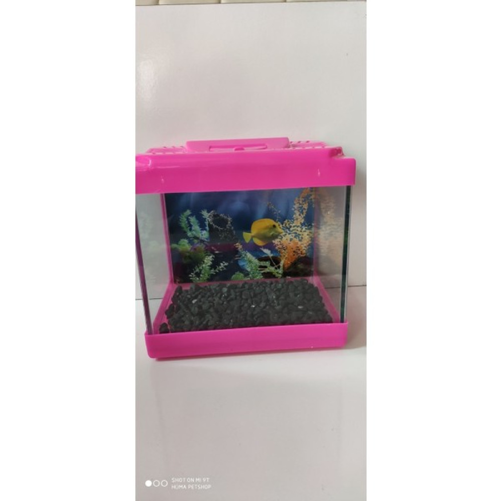 EC Shop Mavi Yeşil Berra Hüma Petshop Özel Fonlu Pembe Mini Akvaryum Evcil Hayvan Ürünleri Fiyatı