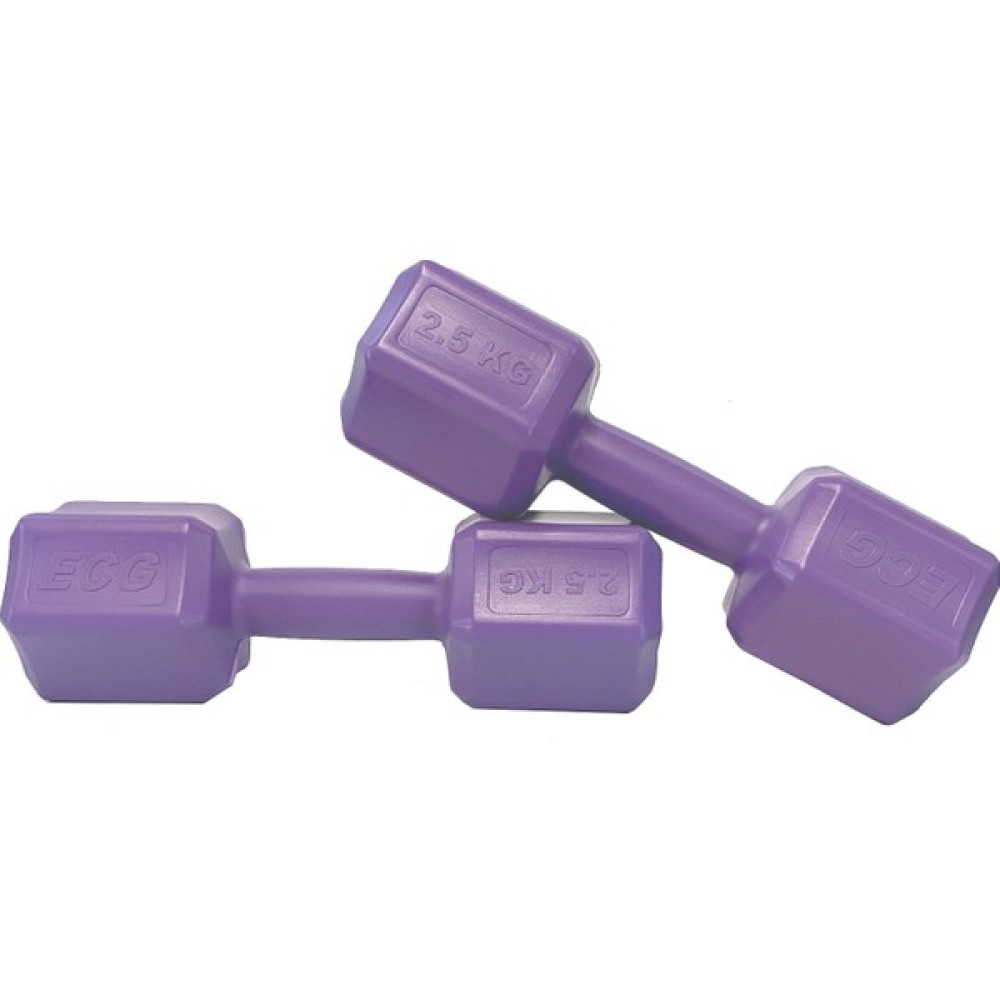 Ecgspor 2.5 kg Mor Dambıl Seti 2.5 kg x 2 Adet Toplam 5 kg Ağırlık Seti Dambıllar & El / Ayak Ağırlıkları Fiyatı