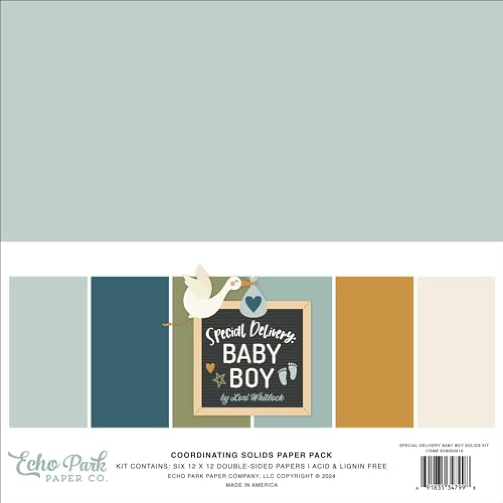 Echo Park Paper Special Delivery Baby Boy Solids Kit