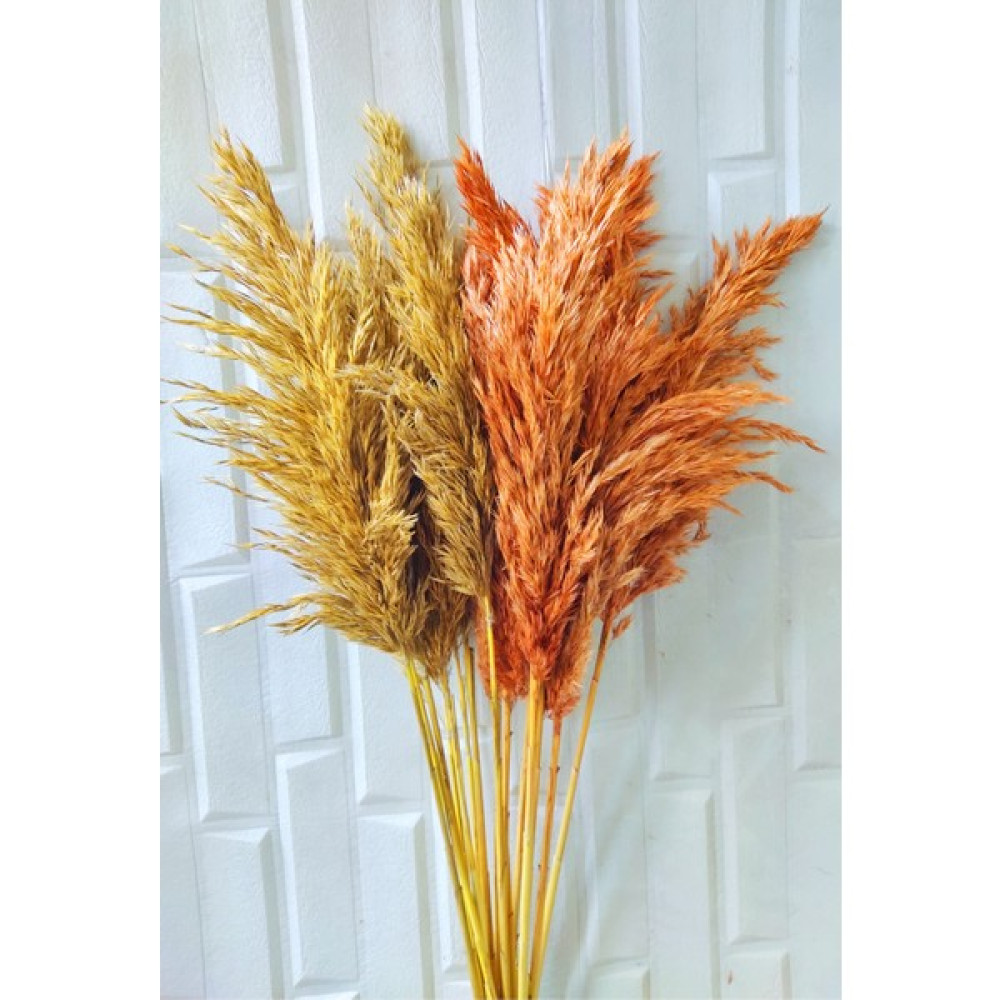 Eçiçek Pampas Otu Turuncu Naturel Ev & Dekorasyon Aksesuarları Fiyatı