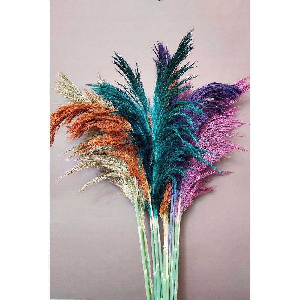 EÇiçek Şoklanmış Pampas Otu 100 cm 15li Demet Kuru Çiçek Ev & Dekorasyon Aksesuarları Fiyatı