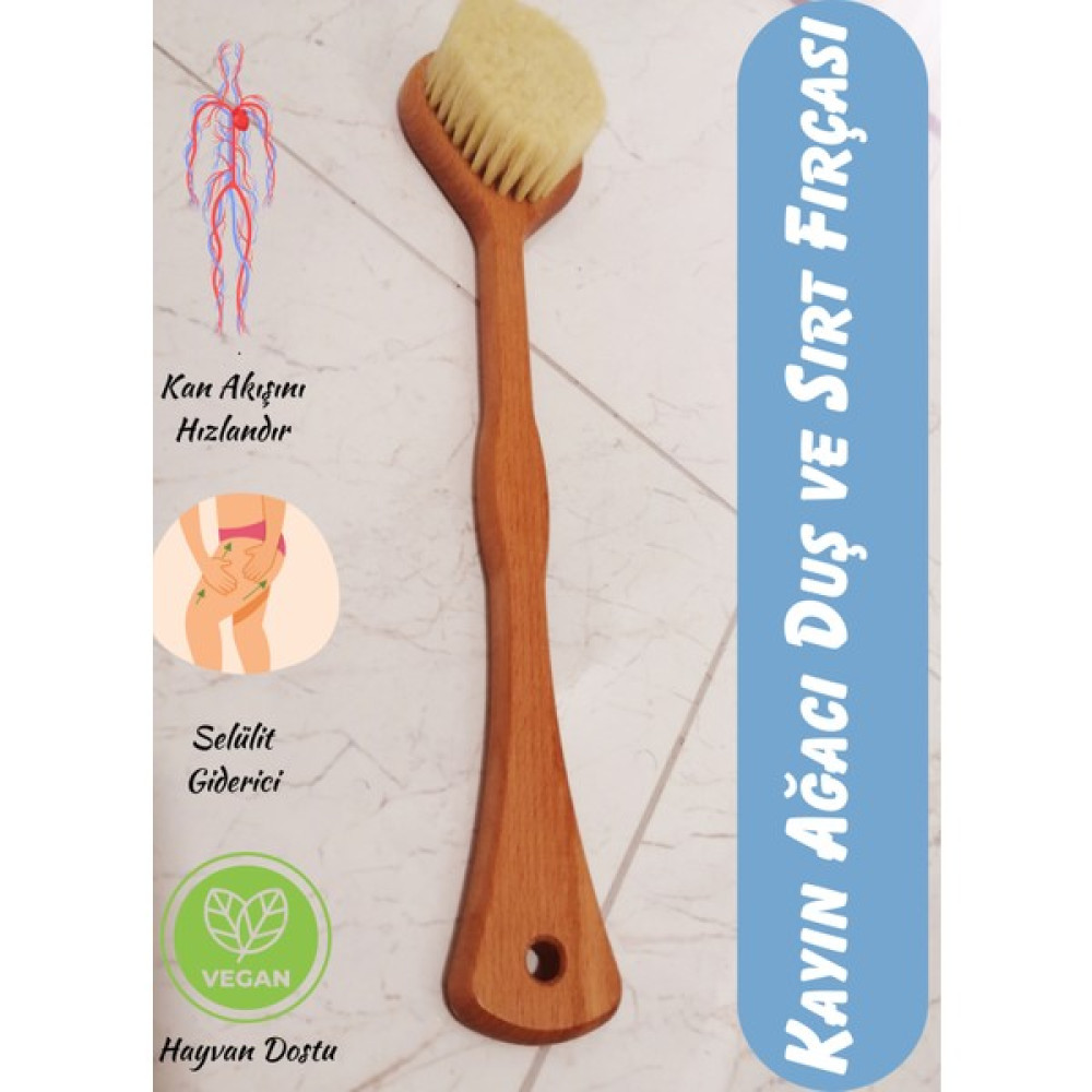 Efsoon Organics Selülit Fırçası, Sert Kıllı Vücut Fırçası Oto Boyaları Fiyatı