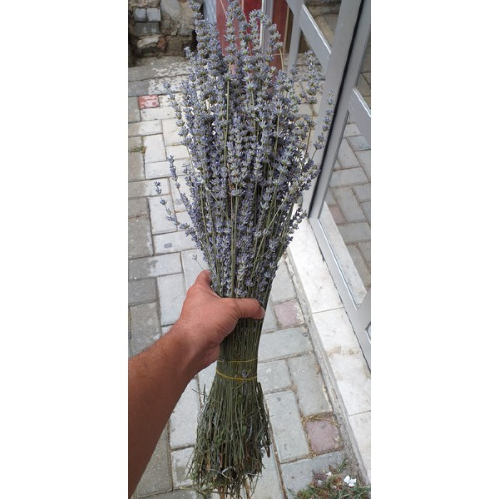 Egemen Fidancılık Lavanta Buketi Demeti Ev & Dekorasyon Aksesuarları Fiyatı