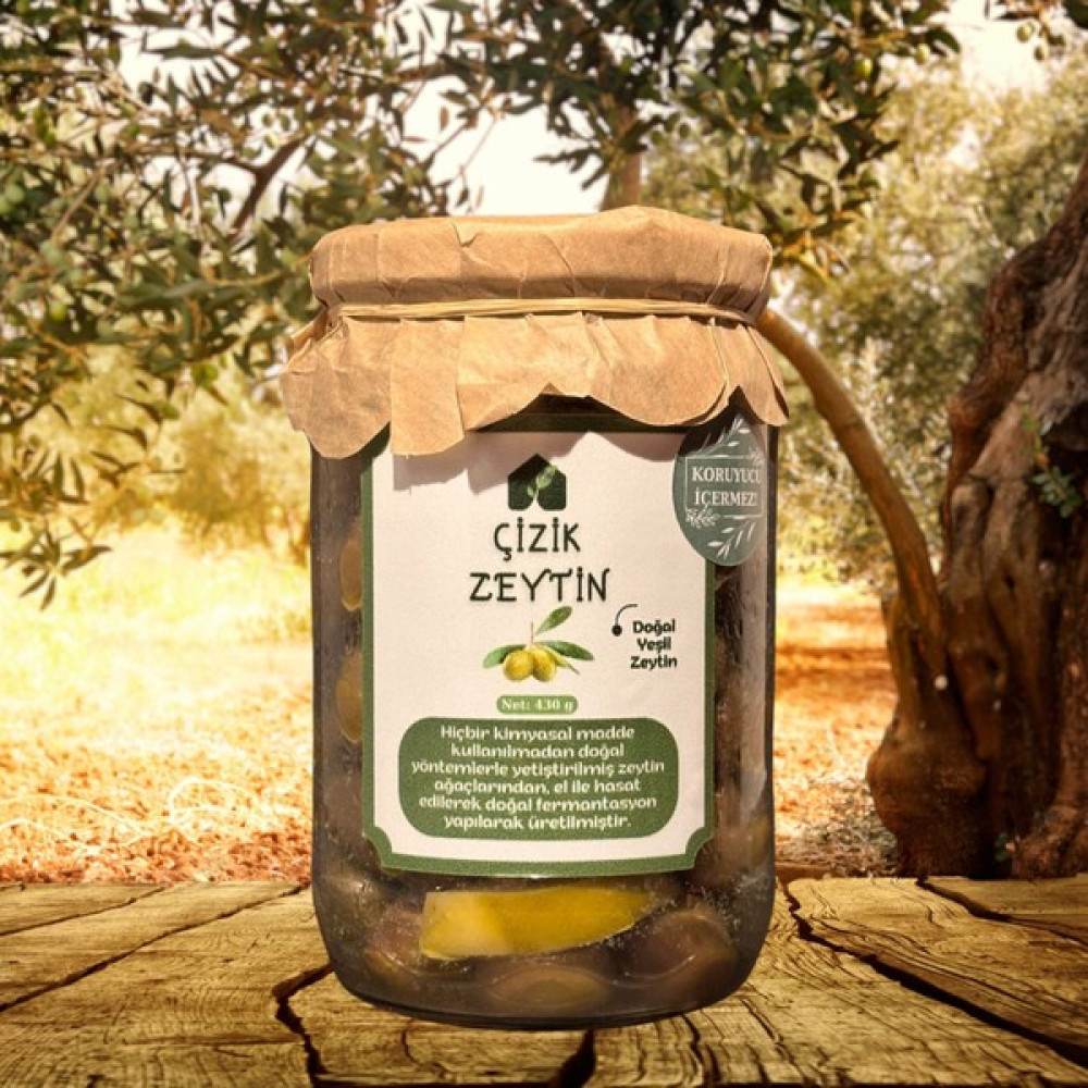 Eget Doğal Çizik Zeytin 430 gr Oto Boyaları Fiyatı