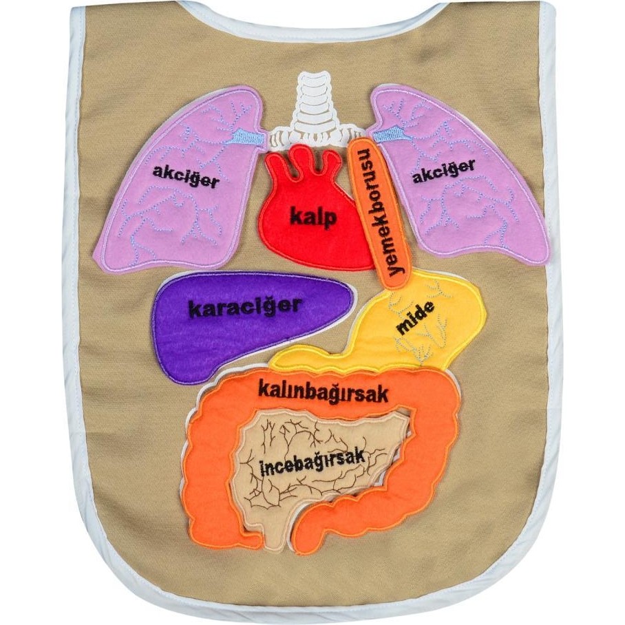 Eğitici Organ Önlüğü - DOLGUSUZ Diğer Fiyatı