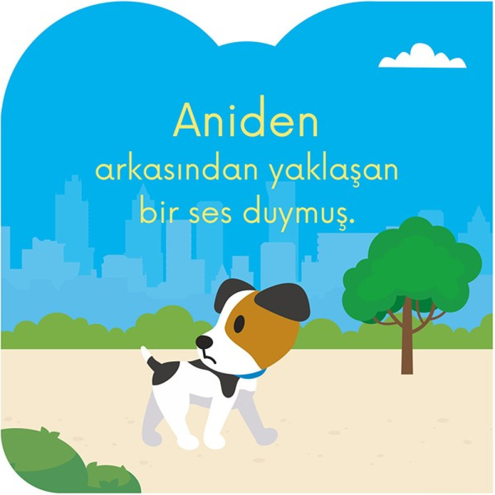 Eğlenceli Hayvanlar Serisi-Şaşkın Köpek Poko Çocuk Masal Fiyatı