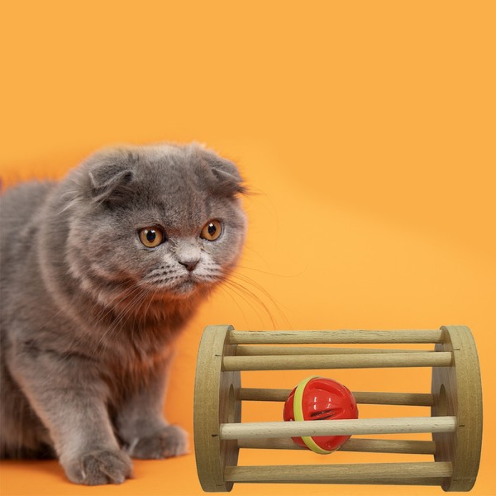 Egurra Çıngırdaklı Kedi Oyuncagı - Renkli Evcil Hayvan Ürünleri Fiyatı
