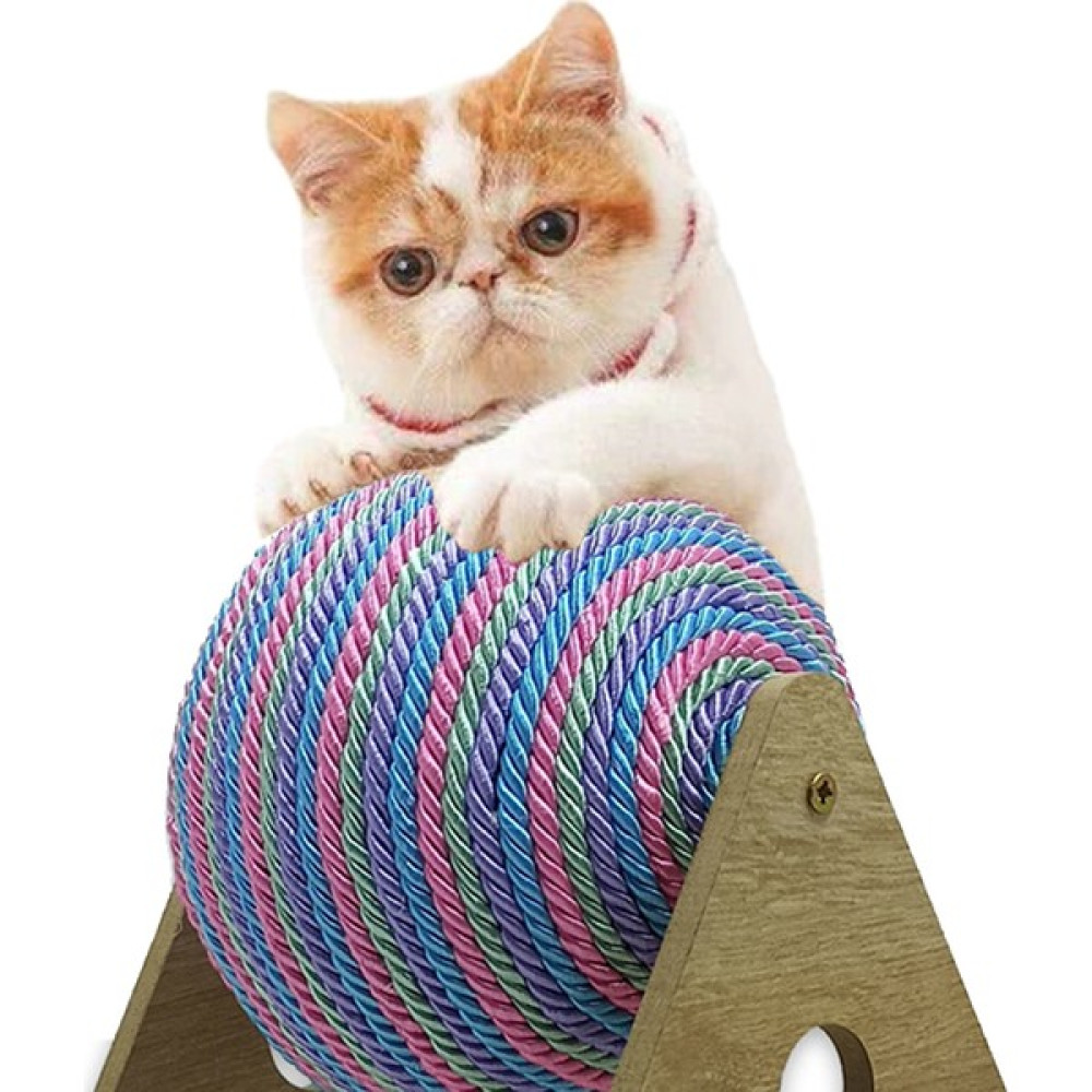 Egurra Renkli Kedi Topu Evcil Hayvan Ürünleri Fiyatı